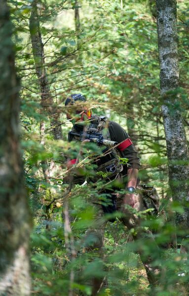 Fil:Speedsofter i skov.jpg