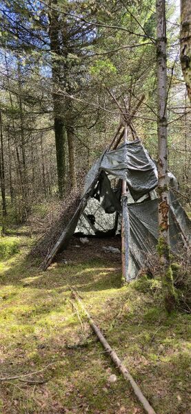 Fil:Roadside telt.jpg