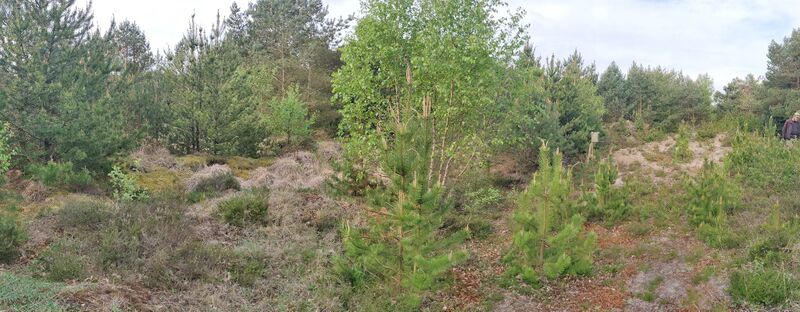 Fil:Holstebro 3.jpg