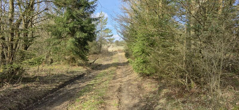 Fil:Finderup terræn.jpg